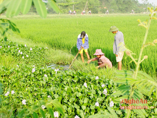 Swamp eel fishing brings its own traditional characteristics which has become one of childhood memories for those who grown up here in Ke Gam village.