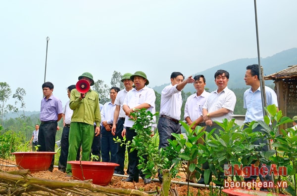 Đồng chí Nguyễn Xuân Đường thăm mô hình trang trại của nông dân xã Nam Nghĩa.