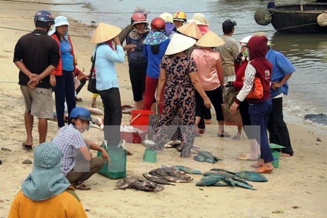 Cá chết bất thường không rõ nguyên nhân trôi dạt vào bờ.