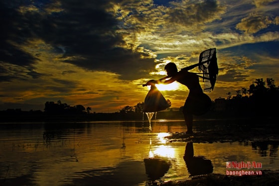 Dáng ai miệt mài cào hến trên sông ... Những bến bãi, những 