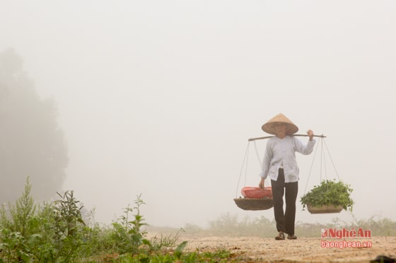 Bóng mẹ trên triền đê ... Ảnh: Bằng Trần.