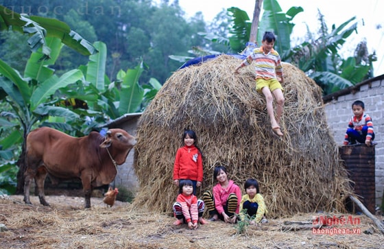 Những đụn rơm đầu hồi nhà luôn là địa điểm chơi đùa lý tưởng của lũ trẻ con - nơi nhiều bí ẩn nhất, nhiều  sáng tạo nghịch dại nhất. Ảnh: Quốc Đàn.