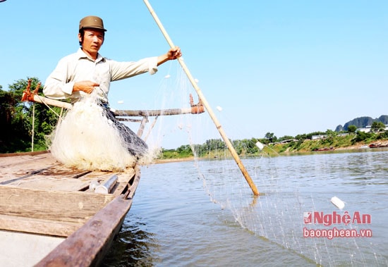 Theo ông Trần Văn Huy thì dùng lưới còm có thể bắt được cá còm ở mọi thời điểm trong năm, nhưng hiệu quả nhất là đánh bắt vào mùa nước cạn, những hôm tối trời. Nghề lưới còm cho thu nhập khá cao nhưng cũng lắm gian nan vất vả, đòi hỏi nhiều kinh nghiệm.