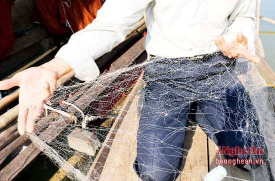 : Sở dĩ người dân gọi loại lưới này là lưới còm bởi lưới chủ yếu dùng để đánh bắt cá còm. Lưới còm được kết đan bằng dây cước theo hình ô vuông rộng cỡ 1cm, phía trên gắn với phao, phía dưới kết chì, mỗi tay lưới khi chăng ra có chiều dài khoảng 50 – 100 mét...