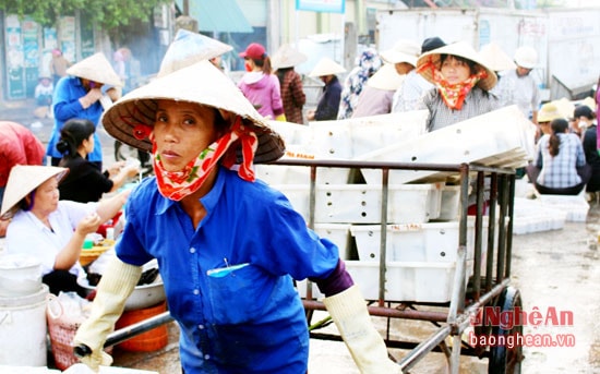 Các loại hải sản tươi ngon như mực, cá thu, cá bạc má đang được thương lái vận chuyển đi bán ở khắp các điểm chợ xã và huyện.