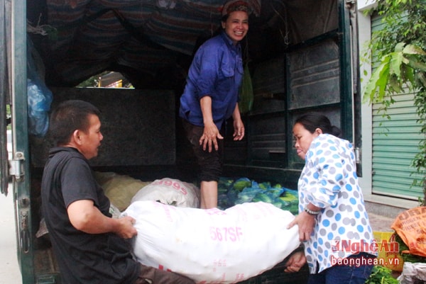 tuần qua, giá dưa chuột trên địa bàn Nam Đàn giảm mạnh, từ 5.000 đ/kg đầu vụ giảm còn 1.000 đ/kg