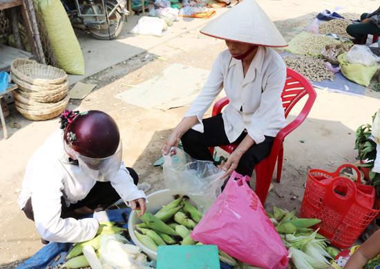 Ngô nếp được bà con Tường sơn tiêu thụ chủ yếu luộc bán bên quốc lộ 7, hoặc bán lẻ ở chợ, 1 bắp ngô có giá từ 2,5 - 3.000 đồng. 