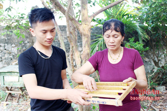 Năm 1996, bà Nguyễn Thị Năm cùng với chồng là ông Bùi Ngọc Ấn bắt đầu bén duyên với nghề nuôi ong lấy mật. Từ 2 đàn ong nuôi để làm quen, nhưng sau quá trình nuôi thấy có hiệu quả cao, gia đình đã nhân rộng lên 60 đàn.