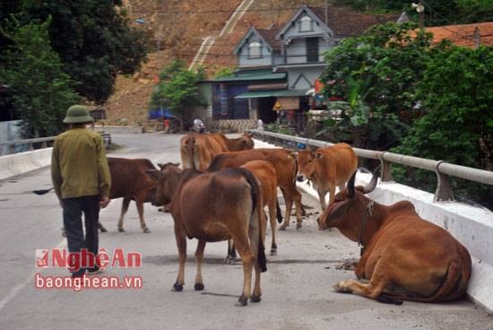 vô tư nghỉ ngơi 