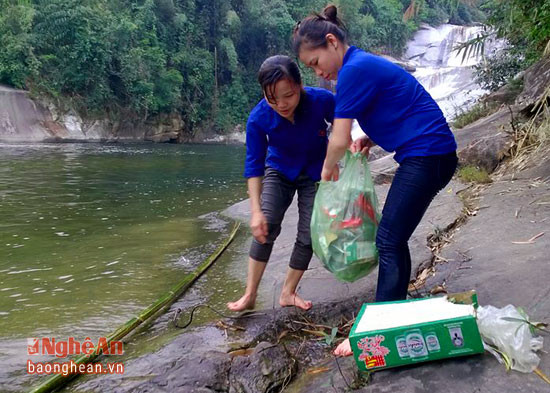 Nhiều đoàn viên thanh niên của xã đã phải vất vả để thu gom rác trên tinh thần tình nguyện.