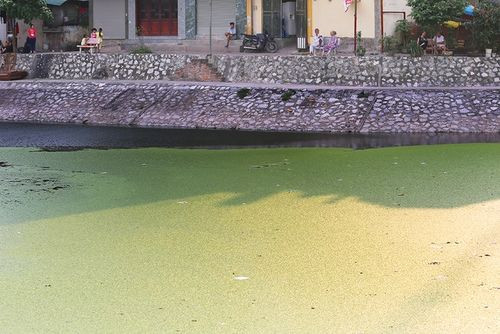 Theo báo cáo mới nhất của Trung tâm Nghiên cứu môi trường và cộng đồng - CECR (Liên hiệp các Hội Khoa học kỹ thuật Việt Nam), năm 2010 Hà Nội có 122 hồ. 86/122 hồ được kè toàn phần, chiếm trên 77%. Trong số hồ đã được kè, tình trạng người dân lấn chiếm làm hàng quán diễn ra tràn lan.