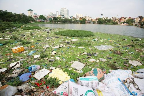 Hồ Linh Quang nằm ở ngõ Văn Chương II, phường Văn Chương, quận Đống Đa, diện tích 22.000 m2. Tình trạng ô nhiễm khiến nước hồ chuyển sang màu đen, bốc mùi xú uế, ven bờ bị rác thải và cỏ dại phủ. Kết quả phân tích cho thấy nước hồ bị ô nhiễm hữu cơ và sự phát triển mạnh của tảo.