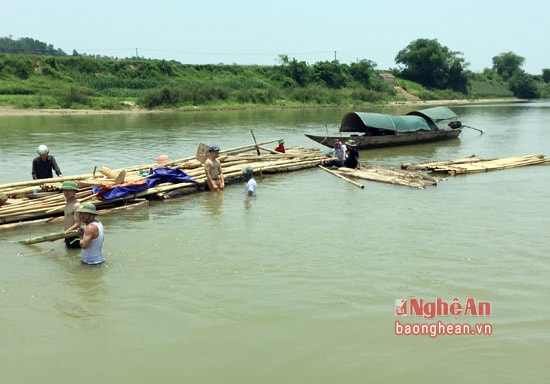 Số gỗ trái phép trên sông Lam