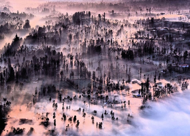 Sương khói tại Cemoro Lawang - Indonesia.