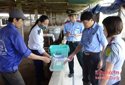 Tiến hành test thử kiểm tra xem trang trại có sử dụng chất cấm tạo nạc Salbutamol, Clenbuterol hay không.