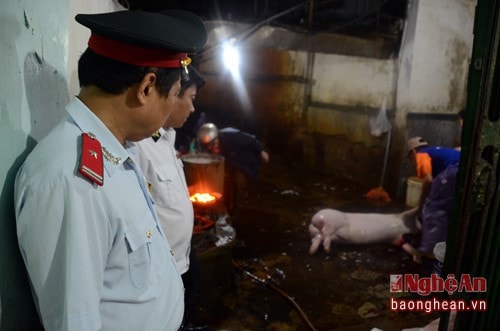 Trong tháng hành động, Đoàn liên ngành tỉnh cũng đã có nhiều cuộc kiểm tra các lò mổ tư nhân ngay lúc giữa đêm.