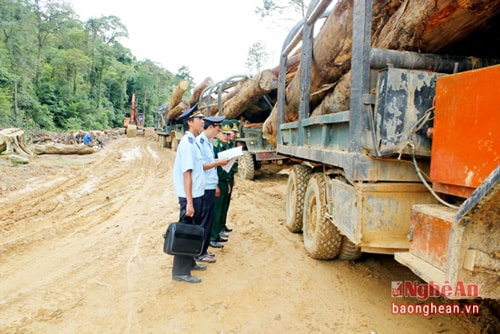 Hải quan Cửa khẩu Thanh Thủy (Thanh Chương) kiểm tra gỗ nhập khẩu.