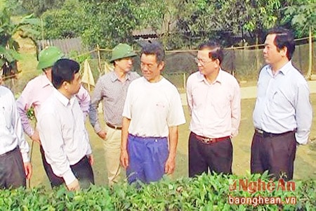 Lãnh đạo tỉnh thăm mô hình ươm hom chè giống của ông Vi Tuyền Quynh.