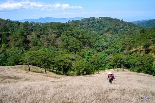 Cung đường có địa hình đa dạng nên bạn sẽ phải băng qua rừng, núi đồi trùng điệp. Những đồi cỏ dập dờn trong gió, có lúc thấy rất nhiều đàn bướm bay khiến khung cảnh quyến rũ đến mê lòng.