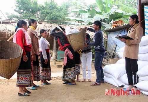 Đồng bào Thái ở xã Hạnh Dịch, Quế Phong nhận gạo cứu đói của Chính phủ - Ảnh: Hồ Phương.