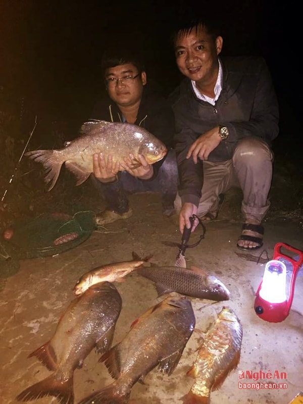Đêm về là thời gian lý tưởng để câu cá lớn vì đây là lúc chúng vào bờ kiếm ăn.