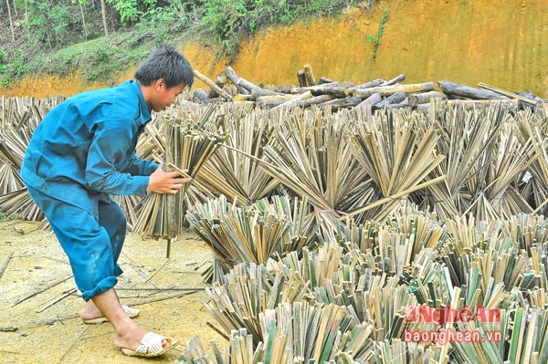 Lao động đang sơ chế lùng tại Công ty Lâm sản Khánh Tâm.