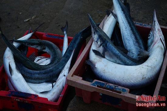 Ngoài cá nhỏ có được nhờ đi rẻo lưới, có nhiều thuyền đi khơi cũng cập bến mang về sản phẩm sau một đêm lênh đênh trên biển