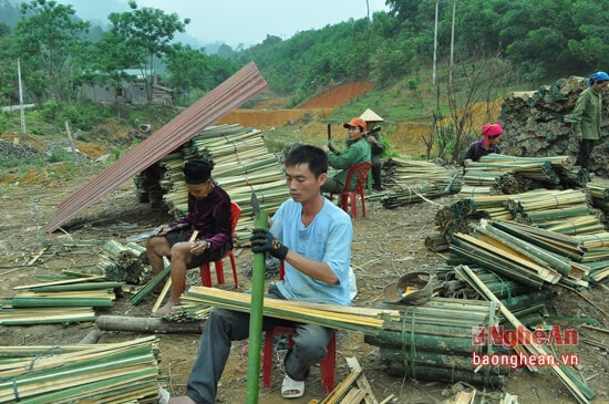 Lao động đang sơ chế lùng tại Công ty Lâm sản Khánh Tâm.jpg