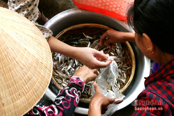 Điều đặc biệt ở chợ Chùa không phải mặt hàng thuỷ sản nào người ta không bán bằng cân, bằng chục mà bán bằng xúm