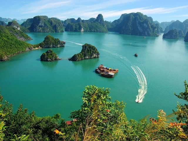 Vịnh 