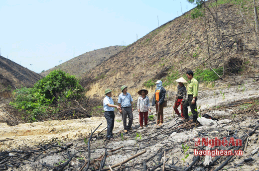 Chủ tịch UBND huyện Quế Phong, ông Lê Văn Giáp đi thực địa trồng mơi rừng tại bản Na Bón, xã Tiền Phong.