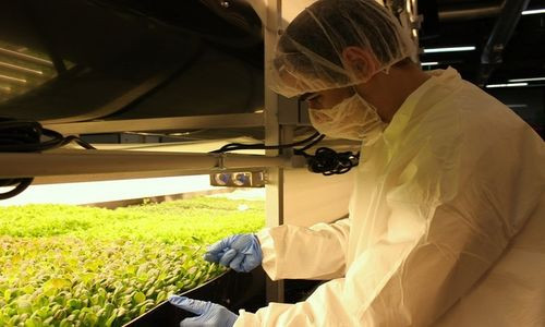 Cảm biến trên khay thu thập dữ liệu ở 30.000 điểm để theo dõi quá trình cây phát triển. Dữ liệu được các nhà khoa học từ Viện Công nghệ Massachusetts và Đại học Harvard phân tích, cho phép nông dân thường xuyên cải tiến phương pháp gieo trồng.