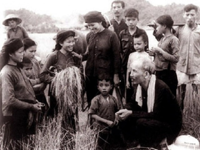 Bác ra đồng gặt lúa cùng nông dân...