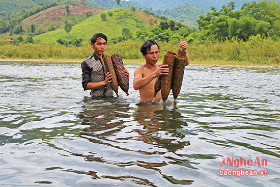 chạch