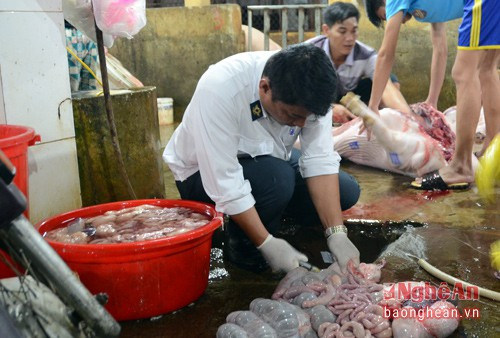 Đoàn kiểm tra liên ngành thành phố Vinh tiến hành lấy 3 mẫu nước tiểu lợn tại chuồng – khu vực giết mổ do gia đình ông Phạm Văn Hạnh quản lý và hoạt động.