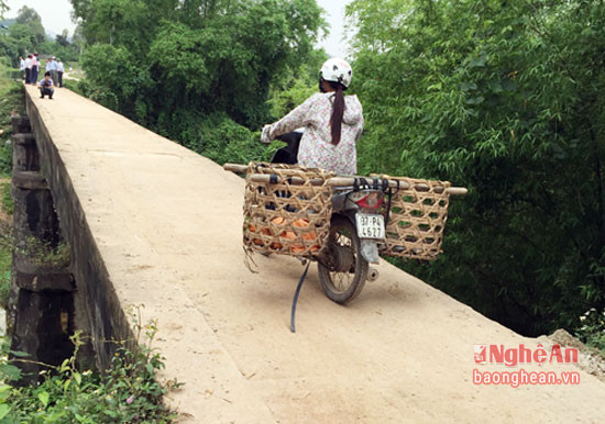 Cầu Bò