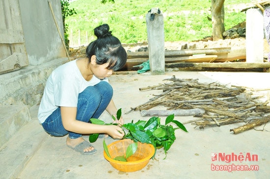 Trang đang giúp bà nội làm chè xanh ngoài giờ ở lớp học