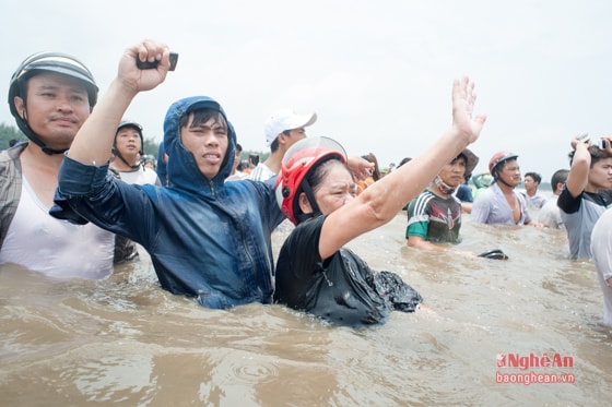 Niềm vui của người dân Diễn Châu. Chào tạm biệt cá ông.