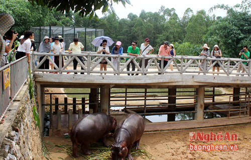 Đoàn khảo sát Khu du lịch sinh thái Mường Thanh Safariland