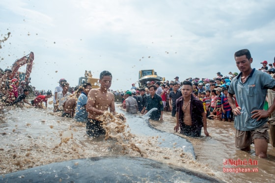 Theo phương án được lập, lực lượng cứu hộ cùng nhân dân địa phương luồn dây dưới 