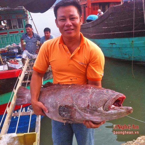 ngư dân Nguyễn Hồng Sơn, phường Quỳnh Phương với niềm vui bắt được cá mú đỏ khủng.