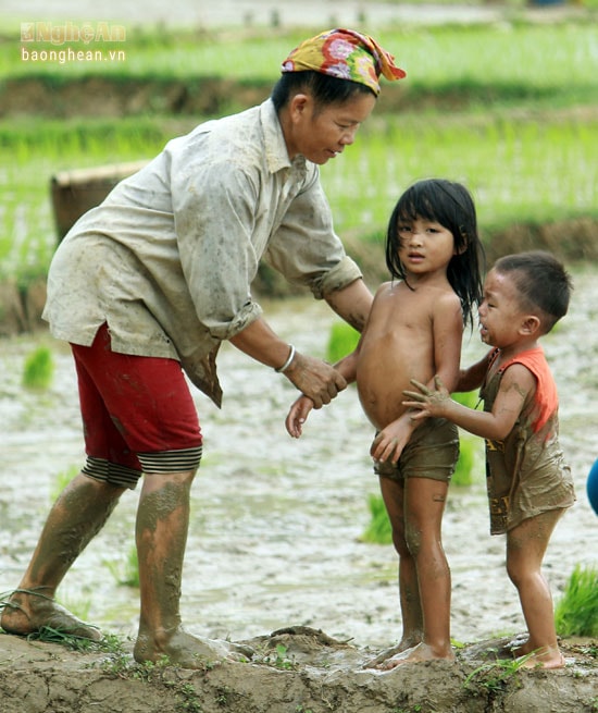 Nhiều trẻ em người Thái được bố mẹ đem theo ra đồng những ngày mùa.