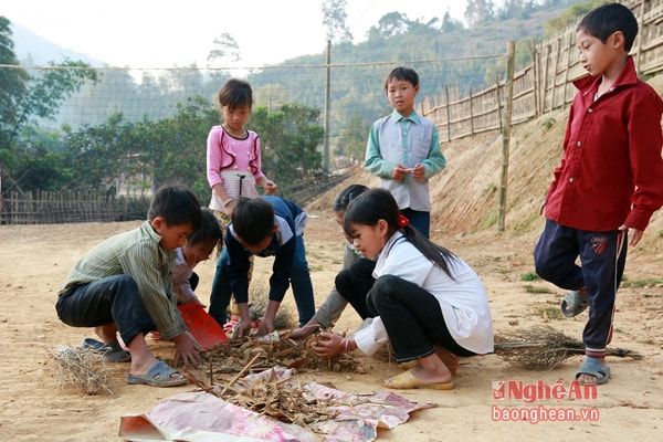 Cùng làm vệ sinh