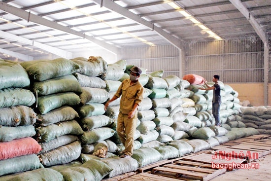 Bốc dỡ hàng tại Nhà máy Con Heo Vàng (KCN Nam Cấm).