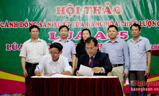 Lễ ký kết giữa lãnh đạo Công ty TNHH KHCN Vĩnh Hòa và lãnh đạo Doanh nghiệp Hàn Quốc về việc hỗ trợ máy móc chế biến,thu mua rơm và gạo thảo dược xuất khẩu của Công ty