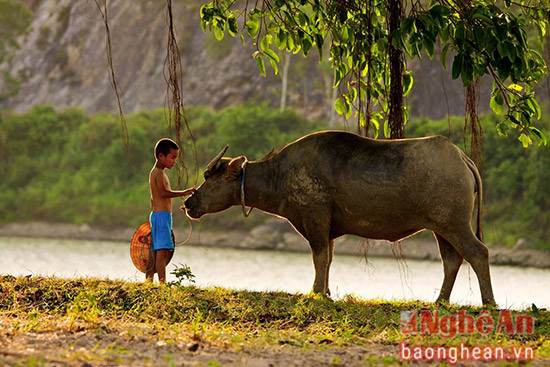 Đôi bạn 