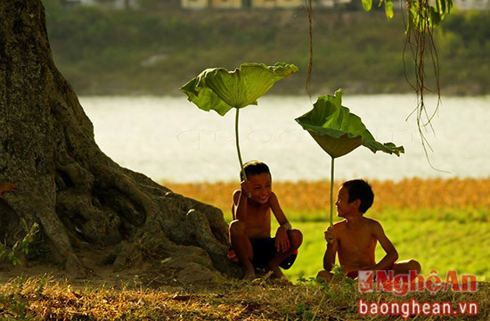 Cùng nhau trốn nắng