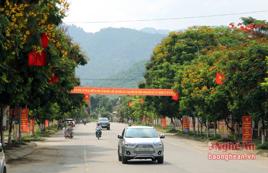 Những ngày này, thị trấn Kim Sơn như một rừng hoa. Trên các nẻo đường trong thị trấn các loài hoa đua nhau khoe sắc.