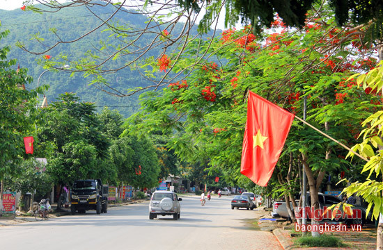 Cờ tổ quốc tung bay trong làn hoa phượng đỏ.