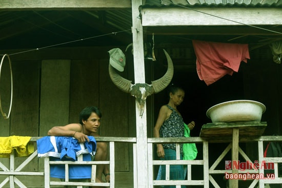 Hầu hết các ngôi nhà người dân đều tự trang trí bằng 1 đầu trâu có chiếc sừng to.